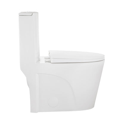 Elongated one-piece toilet in white, comfort height, dual-flush technology with vortex flushing system.
