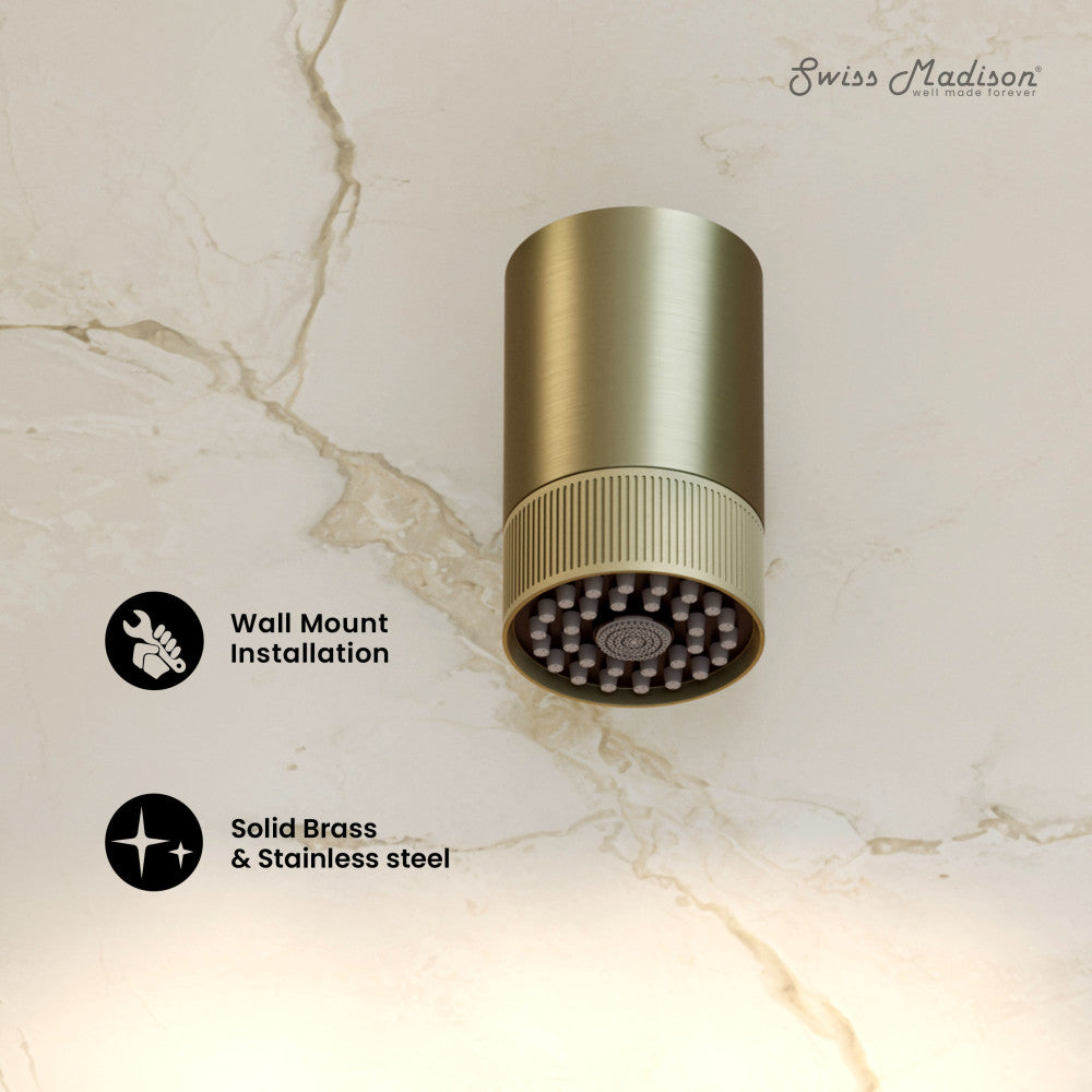 Lumiere 2-Spray Patterns 2.5 GPM Wall Mount Fixed Shower Head in Brushed Gold