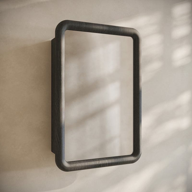 Plaisir 18 x 27 Recessed/Wall Mount Medicine Cabinet with Mirror in Black Oak