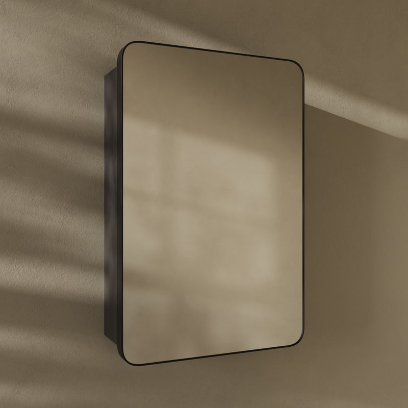 Pierre 20 x 30 Rectangle Recessed/Wall Mount Medicine Cabinet with Mirror in Matte Black