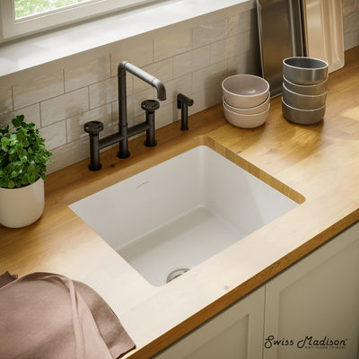 Rochelle 24 x 18 ceramic single basin, drop-in/undermount kitchen sink