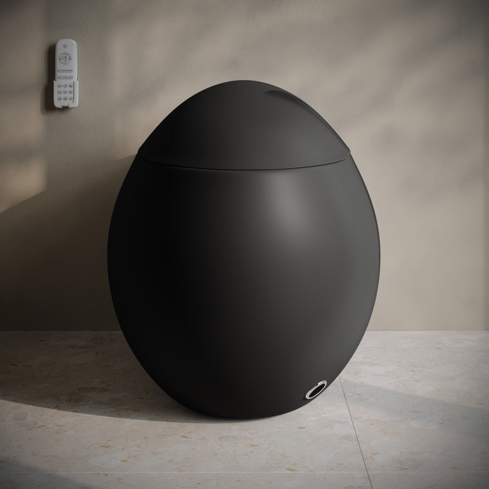 Plaisir Smart One-Piece 1.28 GPF Single Flush Toilet in Matte Black