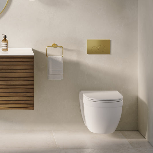 Ivy Wall-Hung Elongated Toilet Bowl Only in Matte White