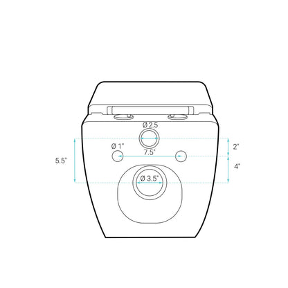 Concorde Wall-Hung Toilet Bundle 0.8/1.6 GPF Dual Flush in Matte Black with Brass Flush Plate