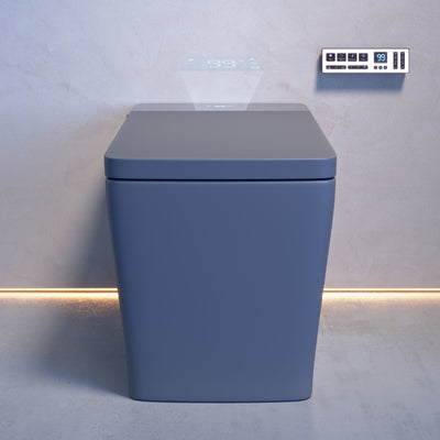 Concorde One Piece Smart Toilet 1.28 GPF in Matte Gray with Heated Bidet, Air Drying, Night Light, Foot Sensor