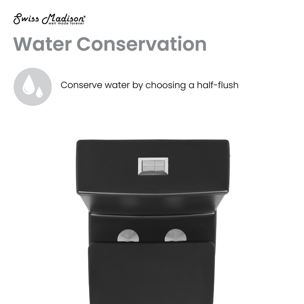 Elongated one-piece toilet in matte black, dual flush with rectangular push button.