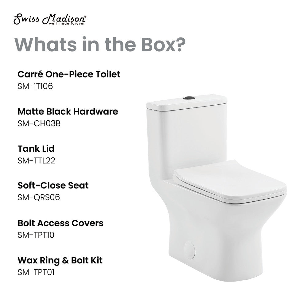 Elongated one-piece toilet with dual flush and black hardware, soft-close seat.