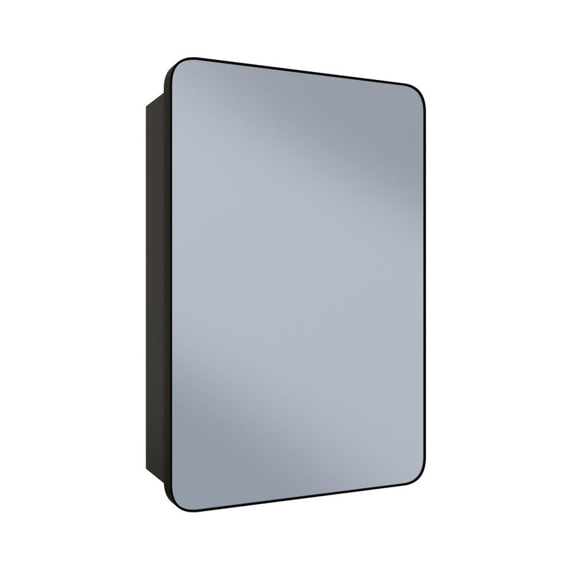Pierre 20 x 30 Rectangle Recessed/Wall Mount Medicine Cabinet with Mirror in Matte Black