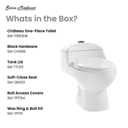 Elongated one-piece white toilet with dual flush and soft-close seat, black hardware accents.