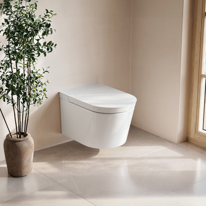 Hugo H Wall-Hung Toilet in Glossy White with Supporting Frame