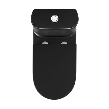 Elongated one-piece toilet in matte black, dual-flush buttons on top tank lid.