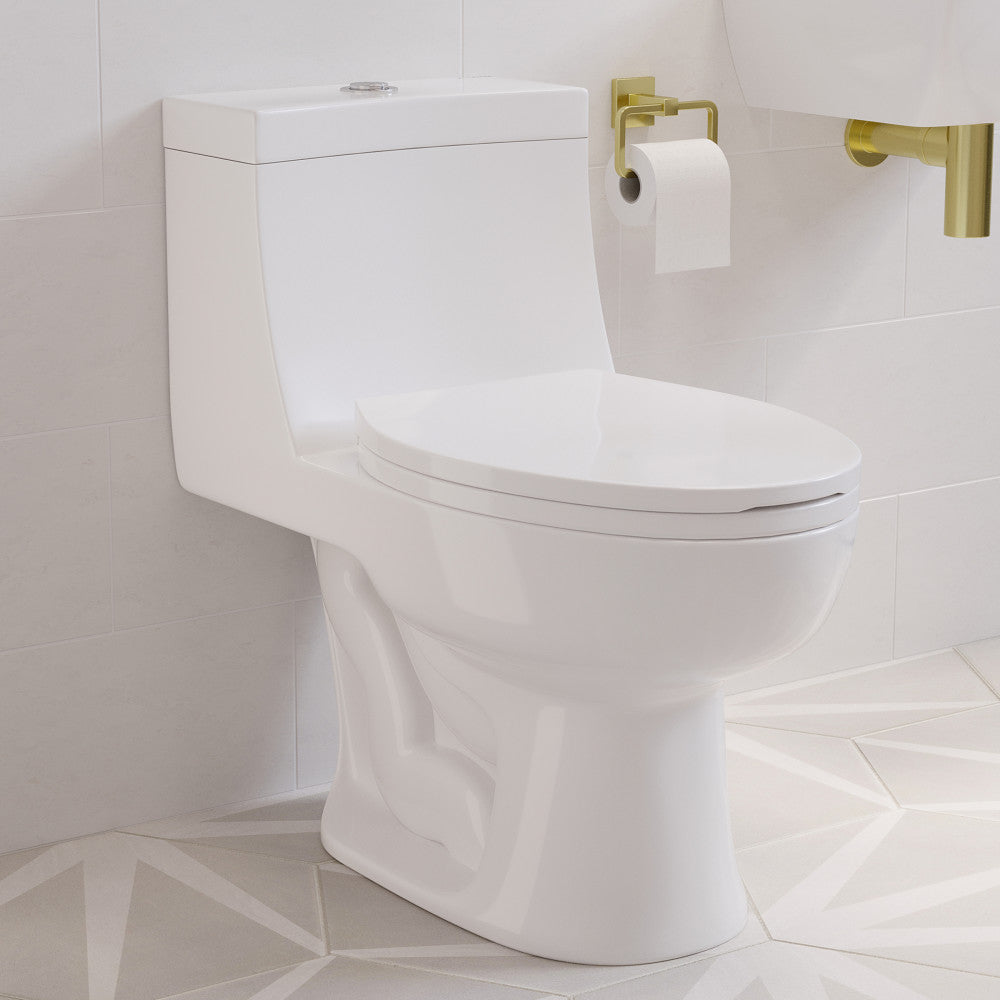 Elongated one-piece toilet with dual flush, white ceramic, skirted trapway, modern design.