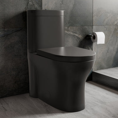 Monaco One-Piece Elongated Toilet Dual-Flush, Matte Black 1.1/1.6 gpf