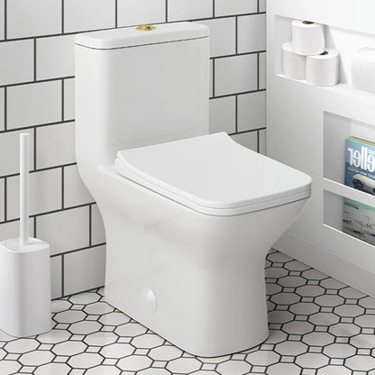 Elongated one-piece toilet with dual flush, white ceramic, brushed gold hardware.