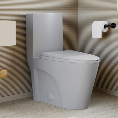 Elongated one-piece toilet in matte gray, dual-flush, compact design with soft-close seat.