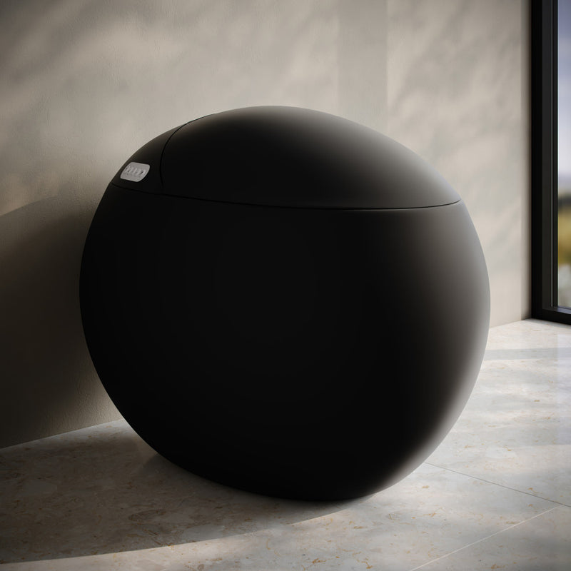 Plaisir Smart One-Piece 1.28 GPF Single Flush Toilet in Matte Black