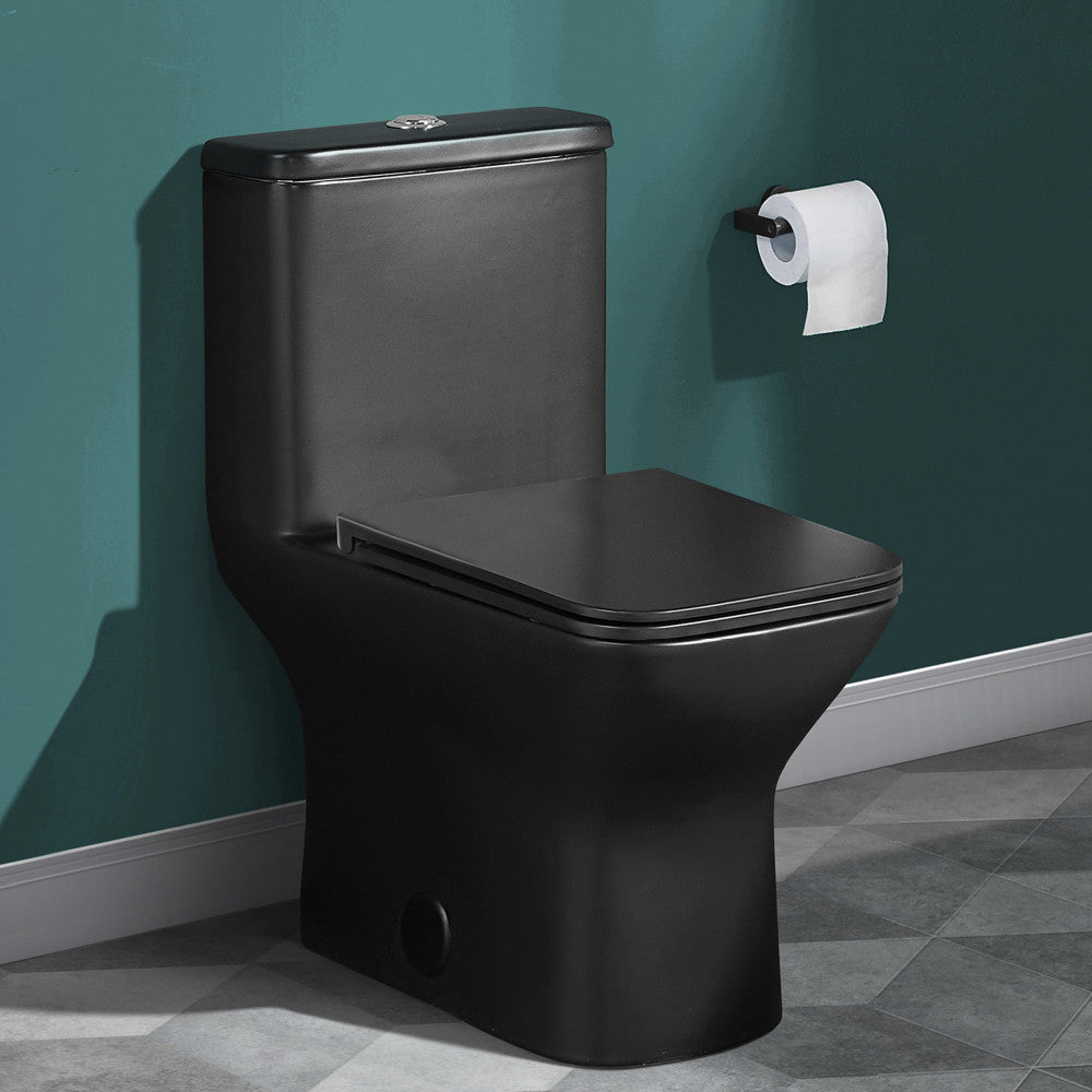 Elongated one-piece toilet in matte black, dual flush, skirted trapway, 10" rough-in, compact design.