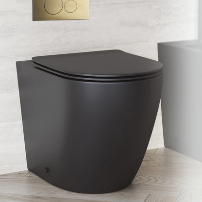 St. Tropez Back-to-Wall Toilet Bundle 0.8/1.6 GPF Dual Flush in Matte Black with Brass Flush Plate
