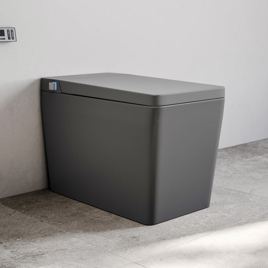 Concorde One Piece Smart Toilet 1.28 GPF in Matte Gray with Heated Bidet, Air Drying, Night Light, Foot Sensor